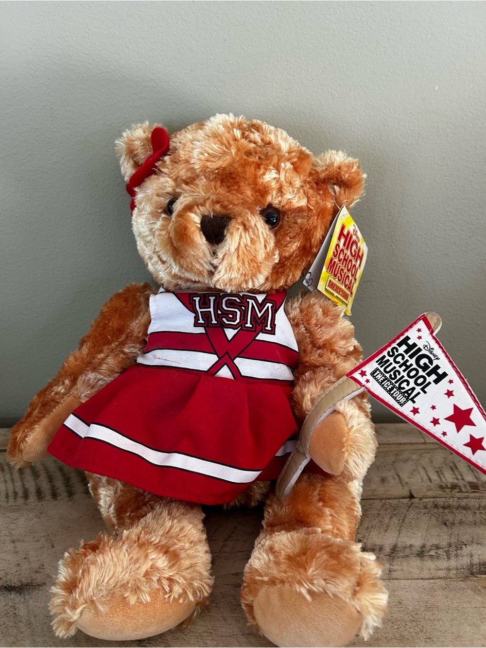 Disney High School Musical The Ice Tour Cheerleader Plush Bear W/ TAGS & Pennant